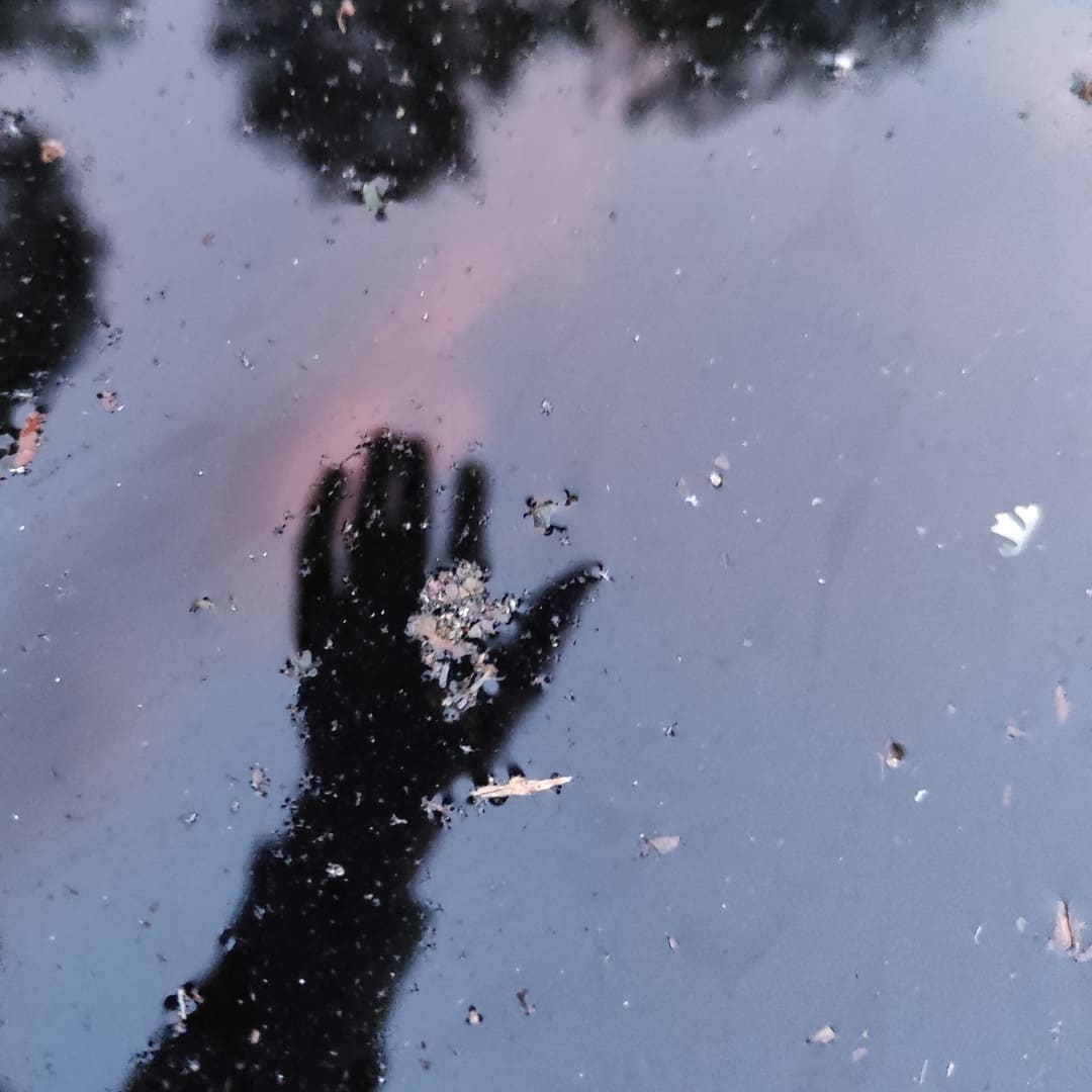 Cover Art canción Miedo